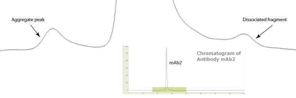 mAb2 graph