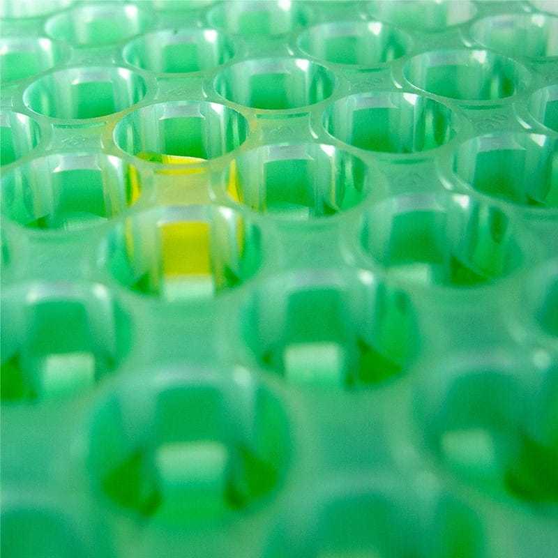 well plates in action